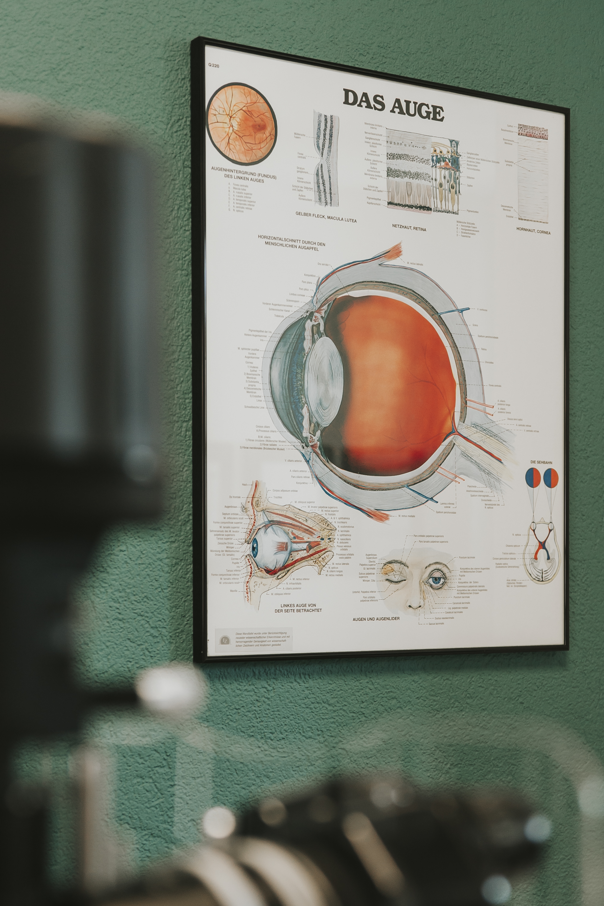 Innenansicht von Haag Optik AG, Bild 3 von 4