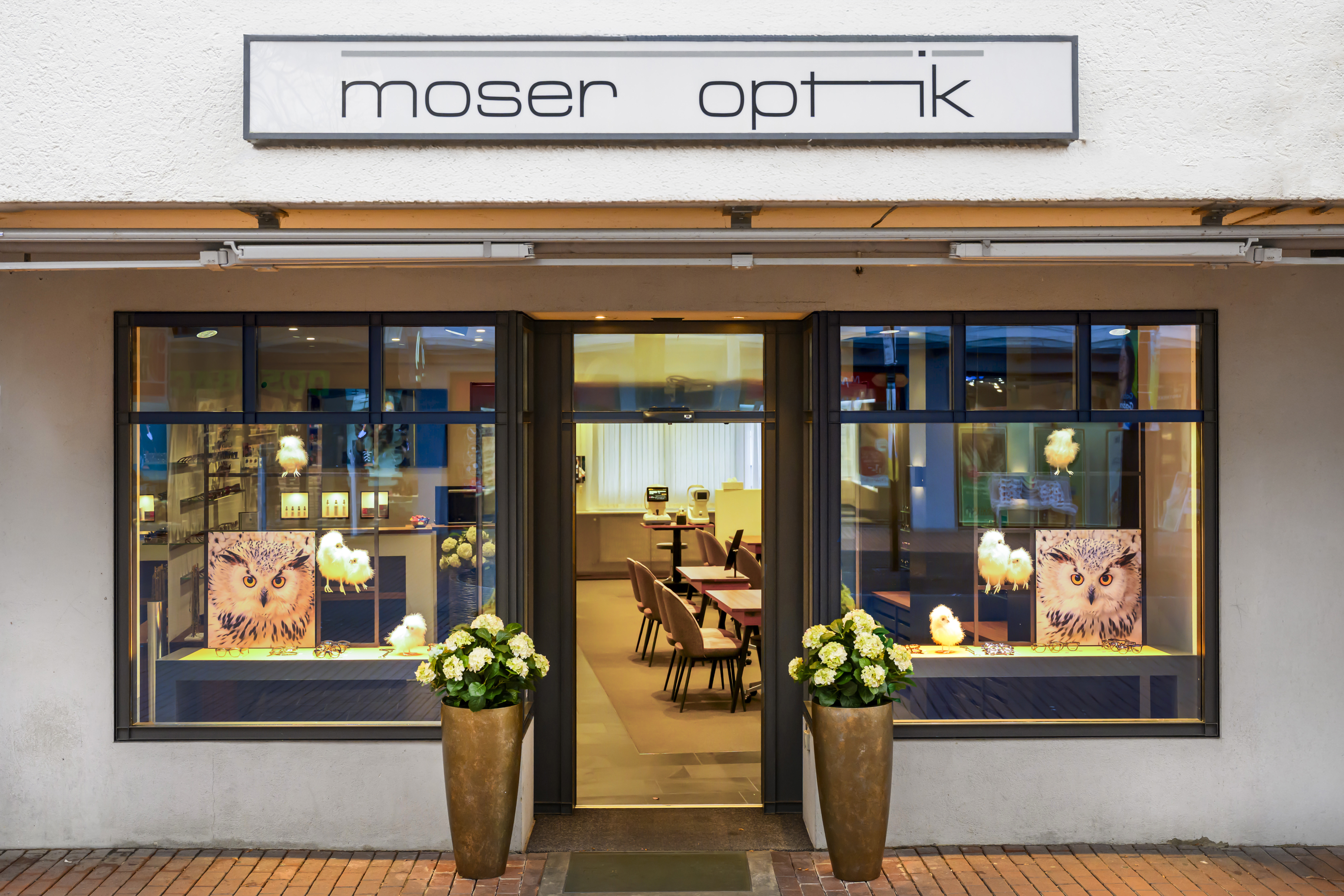 Innenansicht von Moser Optik AG | Brillen & Kontaktlinsen, Bild 4 von 4