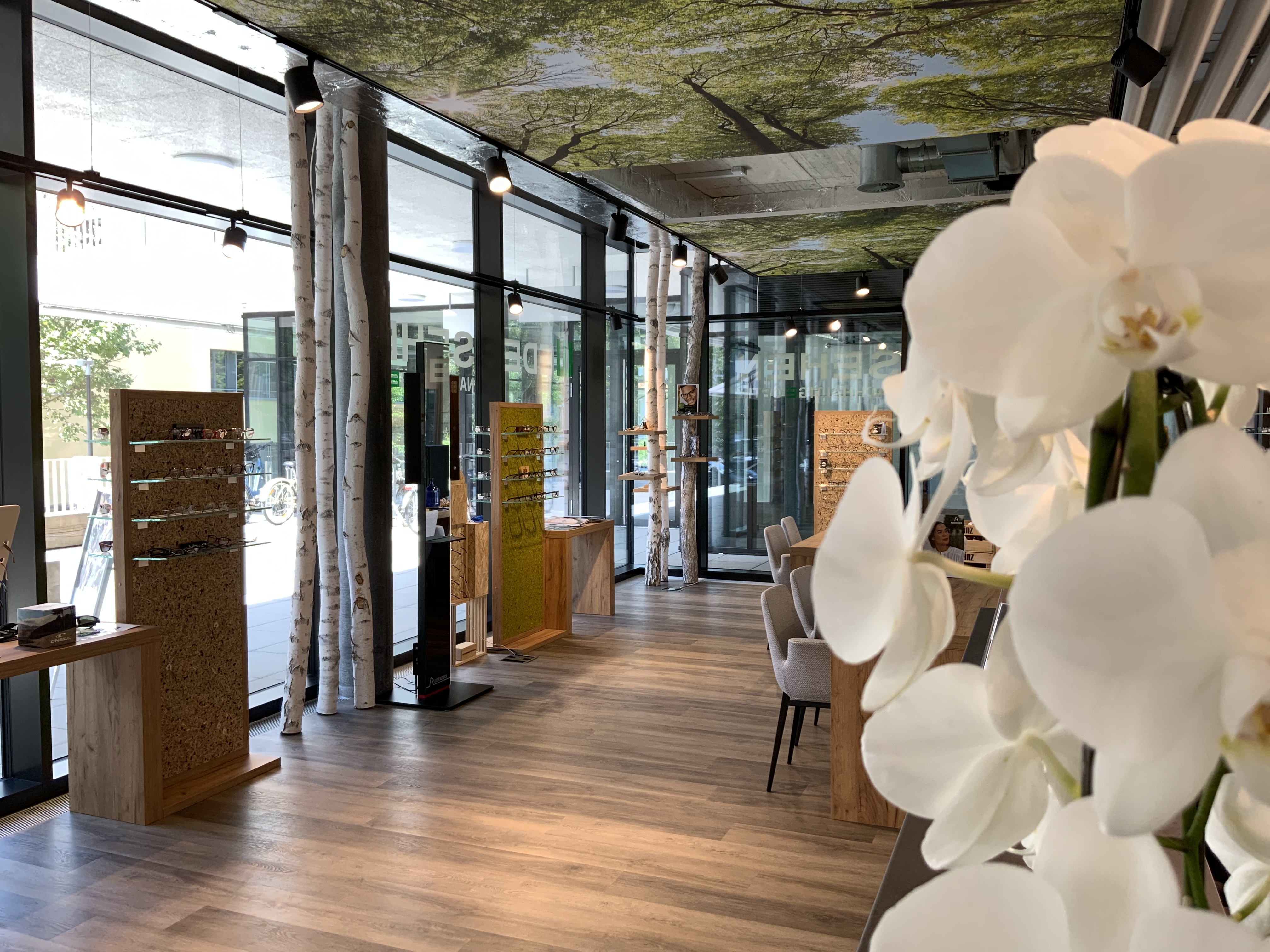 Innenansicht von WEDER SEHEN | Optiker Ittigen bei Bern: Brillen & Sehtests, Bild 3 von 4